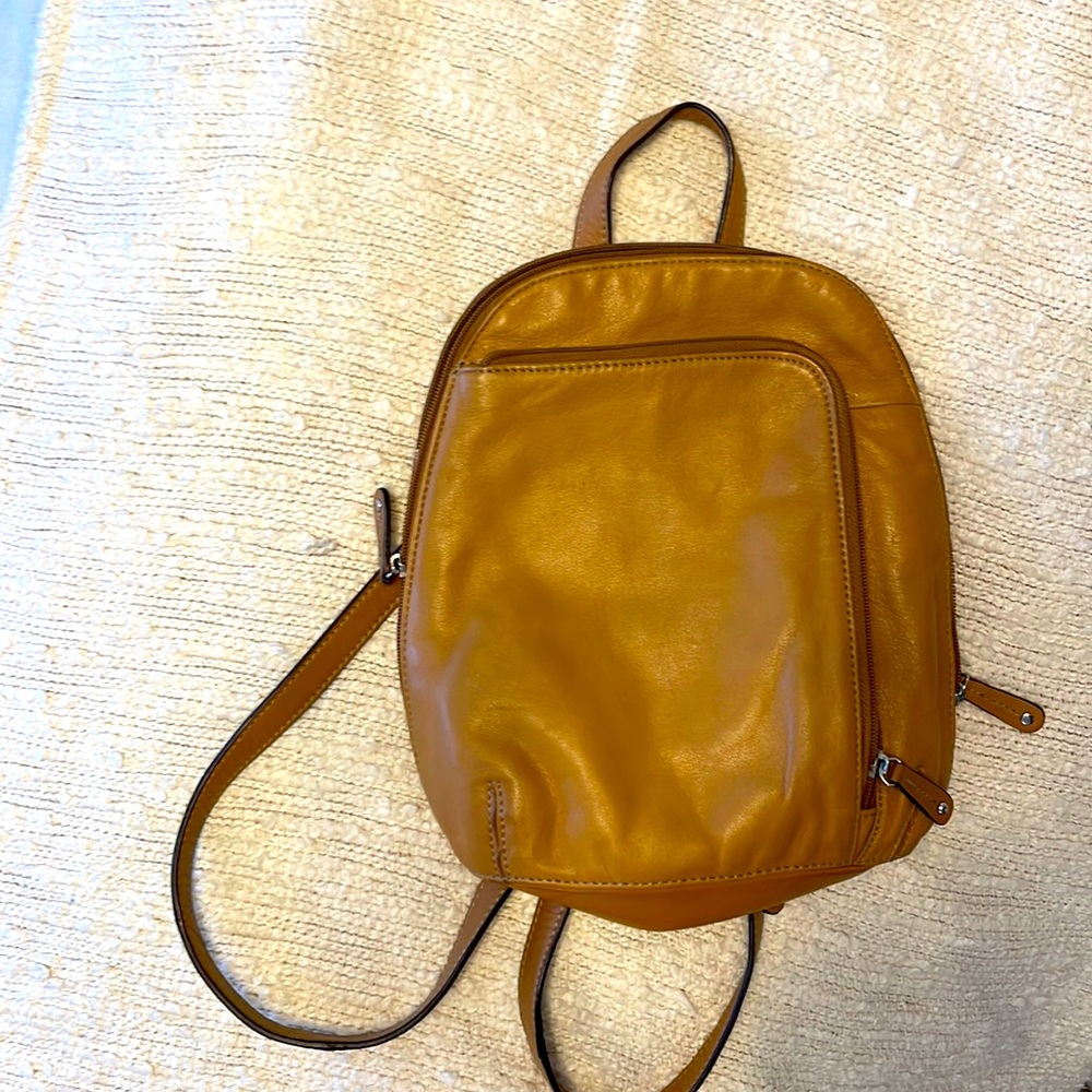Tignanello Genuine Leather S Backpack Purse